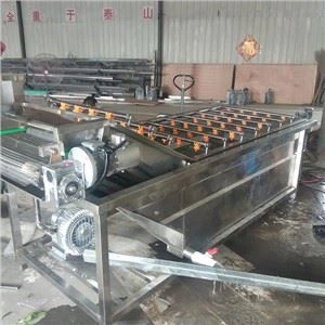 Meaisín Níochán Trátaí Glasraí Leaf Tionscail