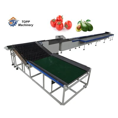 Meaisín Sórtáil Torthaí Avocado Leictreonach