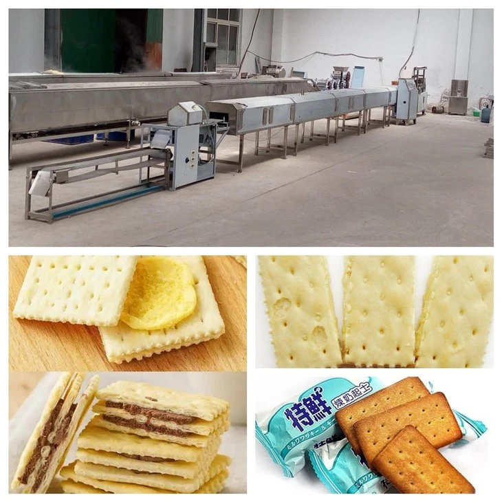 Cracker Flavored Biscuit Production Line factory