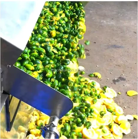 lime juicer