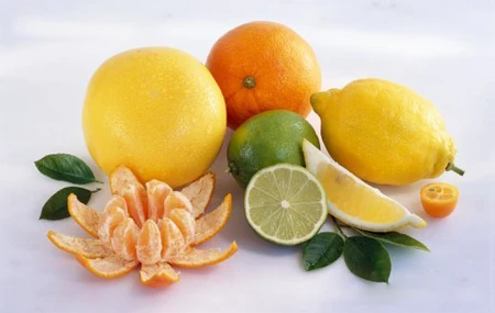 lime juicer 7 lime juicer 7