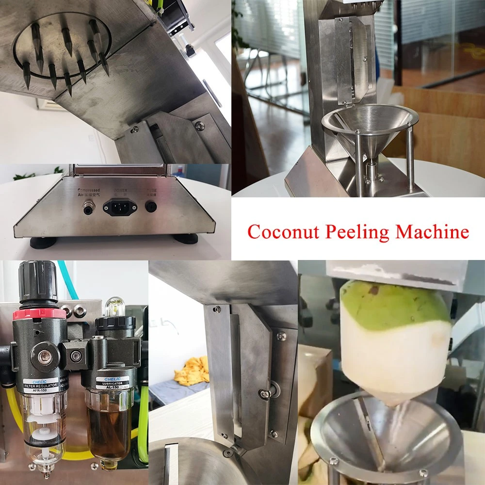 Commercial Coconut Peeling Machine 4 Commercial Coconut Peeling Machine 4
